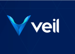 VEIL PROJECT “MOVING QUICKER AND GETTING TO BE MAINSTREAM AROUND CRYPTO NETWORK”.
