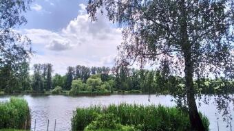 Another dynamic spring day - My Actifit Report Card: June 7, 2026