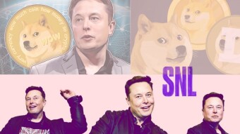 DOGECOIN (DOGE) QUOTATION FALLS AFTER DECLARATIONS BY ELON MUSK
