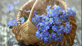 #♞ 10 ноября - праздники и исторические события дня 🐇