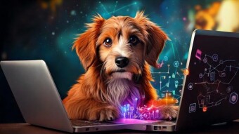 Stellar, Dogecoin, Cardano boom as crypto market hits $3.5 trillion