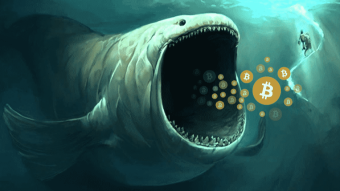 The Bitcoin Market Has Been Dangerously Volatile