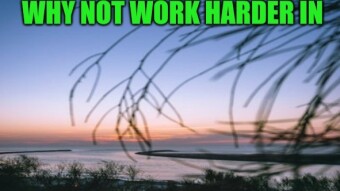 Why Not Work Harder In The Breaking Of New Dawn