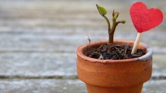 Life Success Brings About Motivating the Meaningful Idea