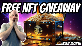Exciting FREE Airdrop: Wombat NFT Giveaway Announcement