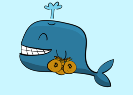 How much a whale spends on moving its funds and why we should follow them.