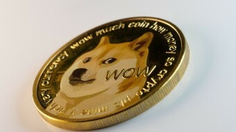 Does Dogecoin have a future? What will dogecoin be worth in 2022