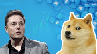 The Rise of Dogecoin: How Elon Musk's Jokes Sparked a Crypto Craze to Lawsuit