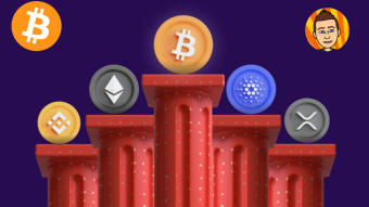 The Blue Chips of Crypto