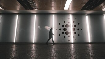Cardano's Super High Before The New Update