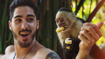 Banano Basics and my experience among the monkeys