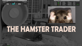 A Hamster outperformed the S&P 500 by Trading Crypto through a Rigged Cage