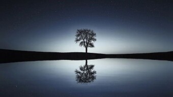 Daily Affirmations - 15 Feb, 2020