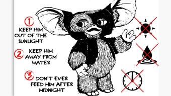 Gremlins: When pet care can kill you!