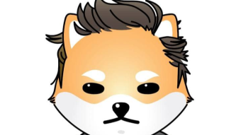 Dogelon!!!!! Join the latest crypto superstar!!