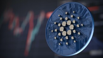 Top 5 Lending and Borrowing Protocols on Cardano