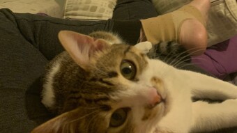 LOCOstories #46 Can anyone say no to those eyes ??