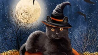 Happy Halloween!  Catlore