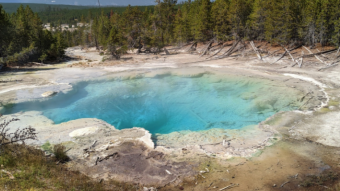 Yellowstone National Park pt. 4