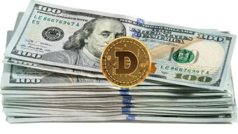 Reasons why Dogecoin's value isn't going up