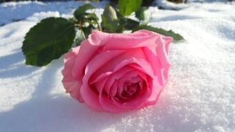❄️❄️❄️ Сборник видео со стихами о Зиме ❄️❄️❄️