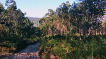 Trip to Portugal - Running through the mountains of Porto