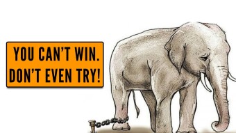 You Can’t Win. Don’t Even Try!