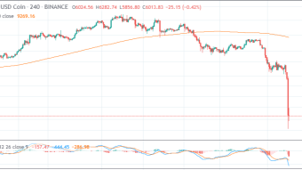 Crypto crash in uncertain times can be a little hard but  let’s cheer up