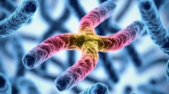 New Gene Therapy Strategy In Huntington Disease Treatment