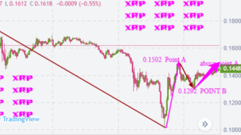 weekly XRP price analysis based on traders behaviour