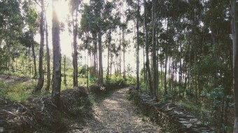 Trip in Portugal - Valongo valleys