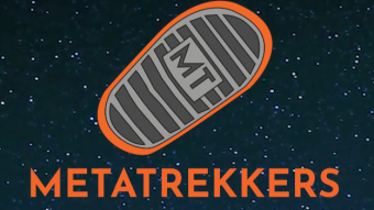 🍞 Tuesday May 24 - 2022 🍞 @MetaTrekkers