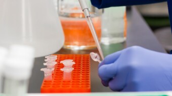 How is Covid-19 Affecting YOUR Personal Life?