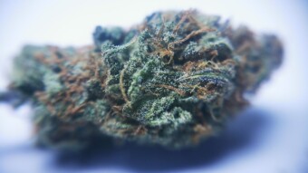 Purple Bliss - TetraPak FInal Photos -