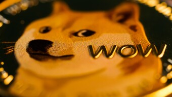 My $5000 Dogecoin (DOGE) Journey: Part 1