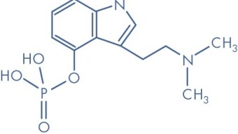 Effects of THC and Psilocybin on the Human brain