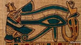 Image of God ~ Shape of Brain