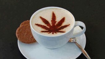 Nutritional benefits of hemp seeds part III