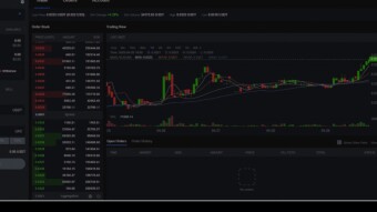 First Experience using Loopring.io DEX