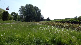 A stormy Tuesday, but spring, warm and pleasant - My Actifit Report Card: May 23 2023