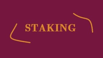 Major hack for passive income! STAKING: Your solution to produce passive income.