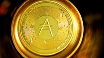 Cardano: How Is The Ecosystem Growing?