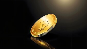 Bitcoin Can Be Compared To A Sleeping Panther