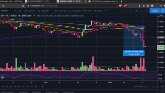 XRP Ripple crashes under SEC lawsuit – it’s about time