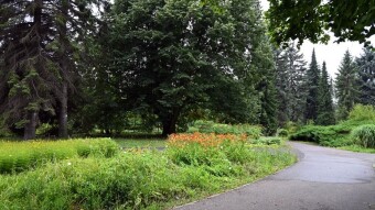 Very moist and stuffy Sunday - My Actifit Report Card: JULY 27 2025
