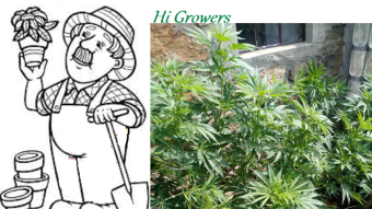 Garden Trash #11