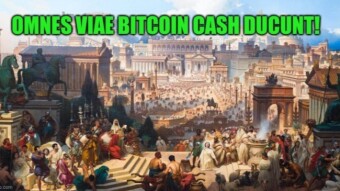BCH is the future: My children will grow as financially independent adults