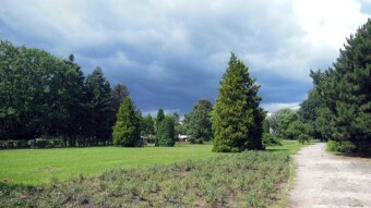 Today I had a break in the weather, but I decided to continue walking - My Actifit Report Card: August 8 2023