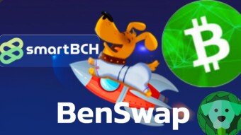 BenSwap (SmartBCH) Complete Guidelines For Beginners And The Risks