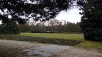 Windy, rainy and gloomy, but you have to move - My Actifit Report Card: January 5 2023
